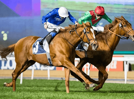National Horsemen Group Condemns Drug Reforms