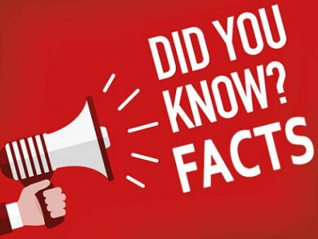 7 Fascinating Facts About Casinos for Novel Players