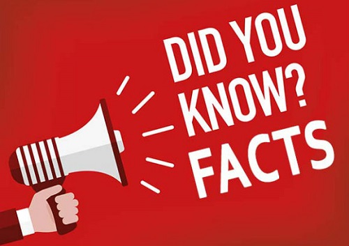 7 Interesting facts about casinos