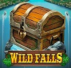 Wild Falls