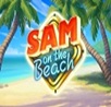 Sam on the Beach